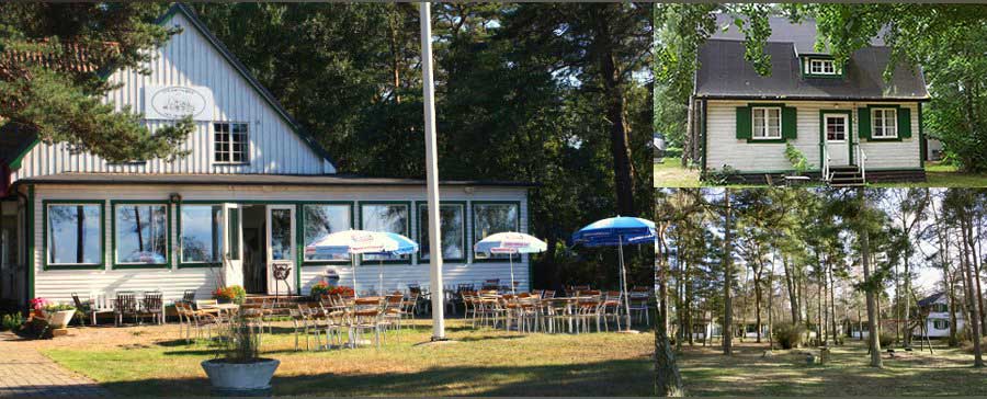 Banner photo collage